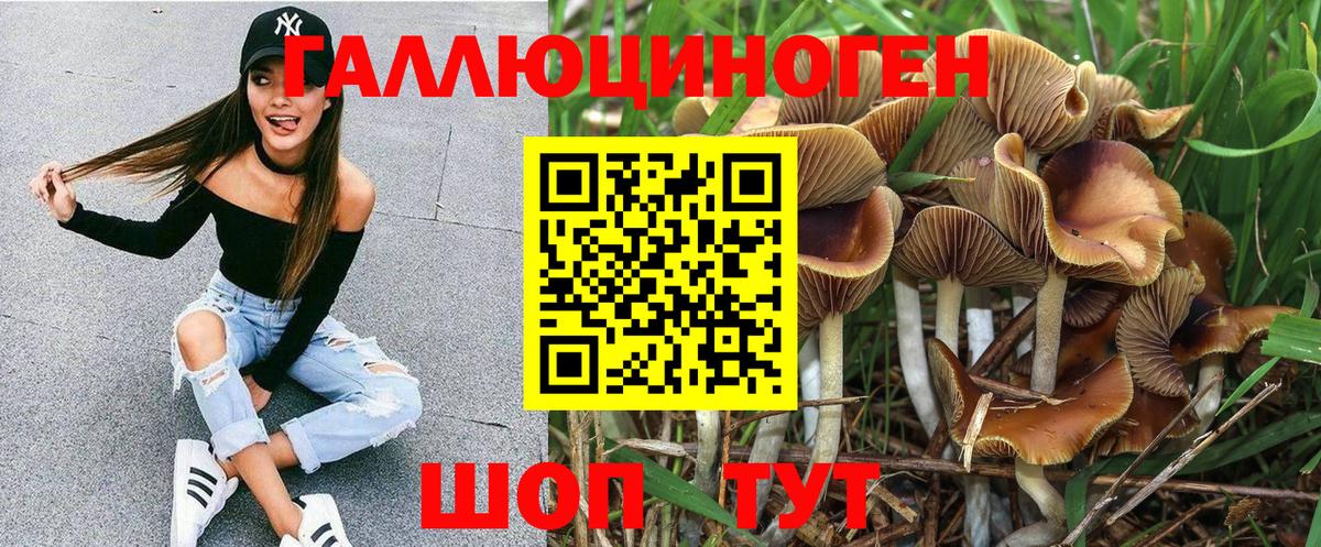 Петропавловск-Камчатский  Галлюциногенные грибы Psilocybe  Вход с VPN 