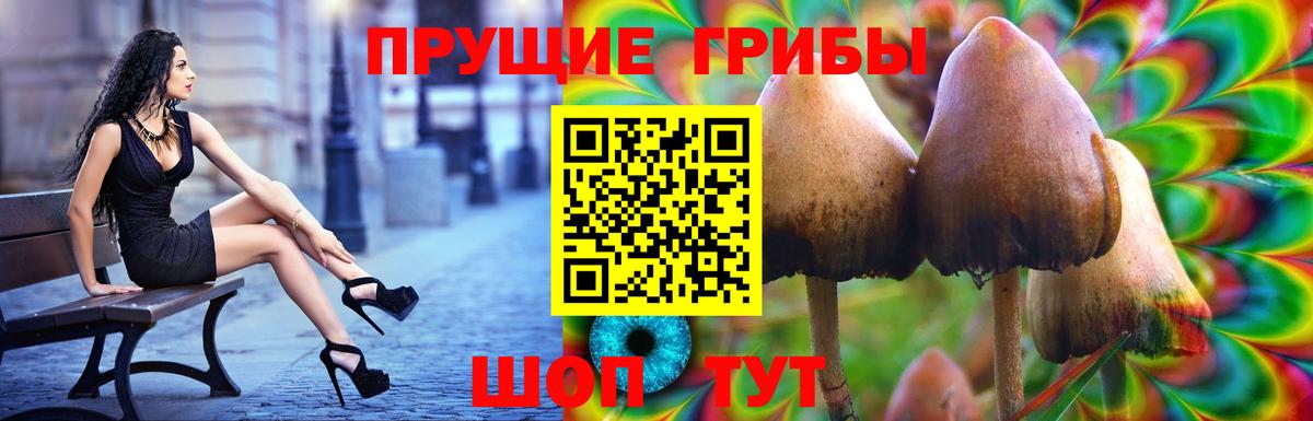 Псилоцибиновые грибы MAGIC MUSHROOMS Петропавловск-Камчатский