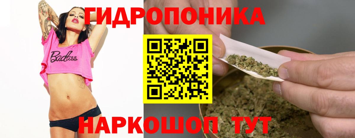 Конопля White Widow  Вход с VPN  Бошки марихуана OG Kush  Марихуана MAZAR  Бошки марихуана семена  Петропавловск-Камчатский 